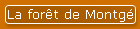 La fort de Montg